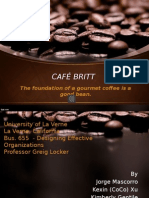 Cafe Britt PPT Final Draft 1