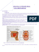 seminario_57 neoplasias