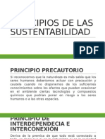 Principios de Las Sustentabilidad