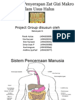 Project Group Anfis