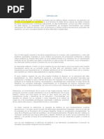 PDF Documento