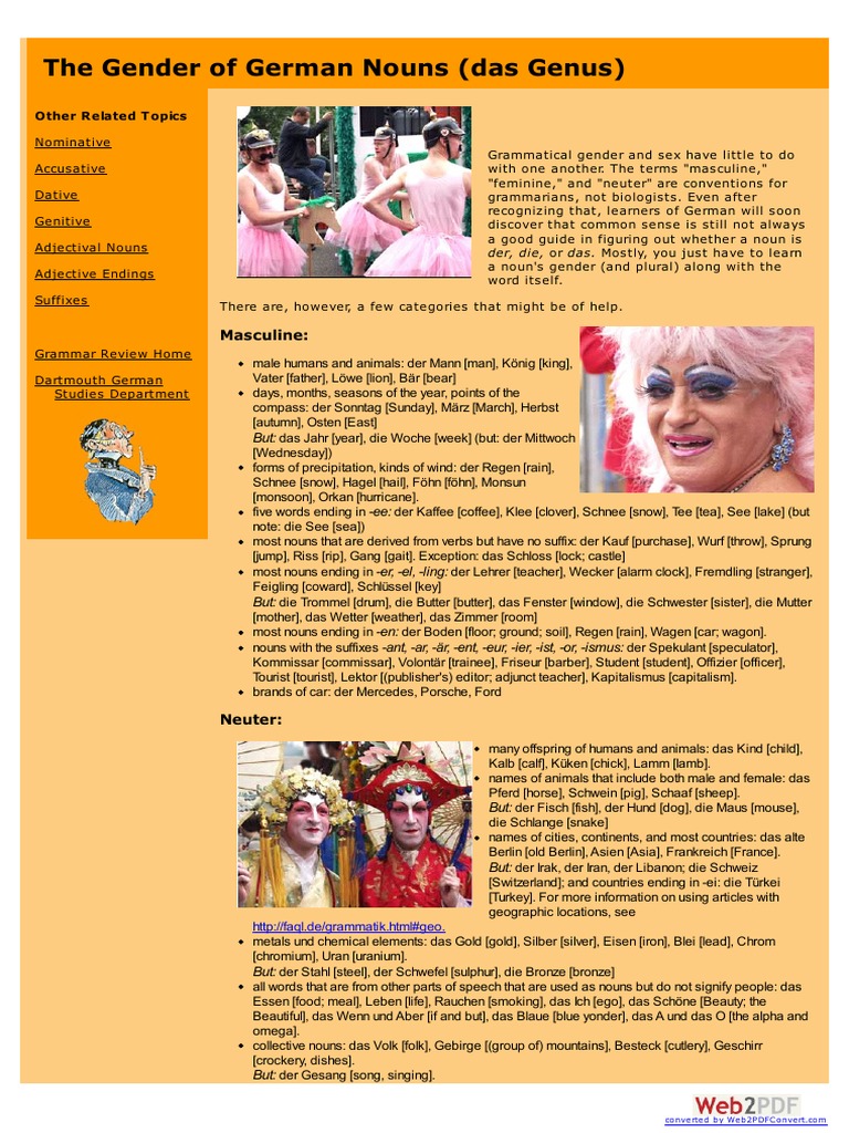 Understanding German Noun Genders | PDF | Grammatical Gender | Adjective
