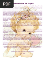 Chamadores de Anjos
