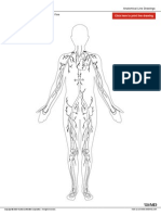 Circulatory Labels