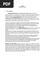 Download Makalah Benteng Somba Opu dan Benteng Rotterdam by Fajar Haryadi SN255416488 doc pdf