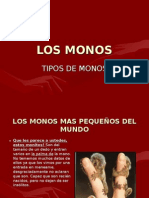 Tipos de Monos