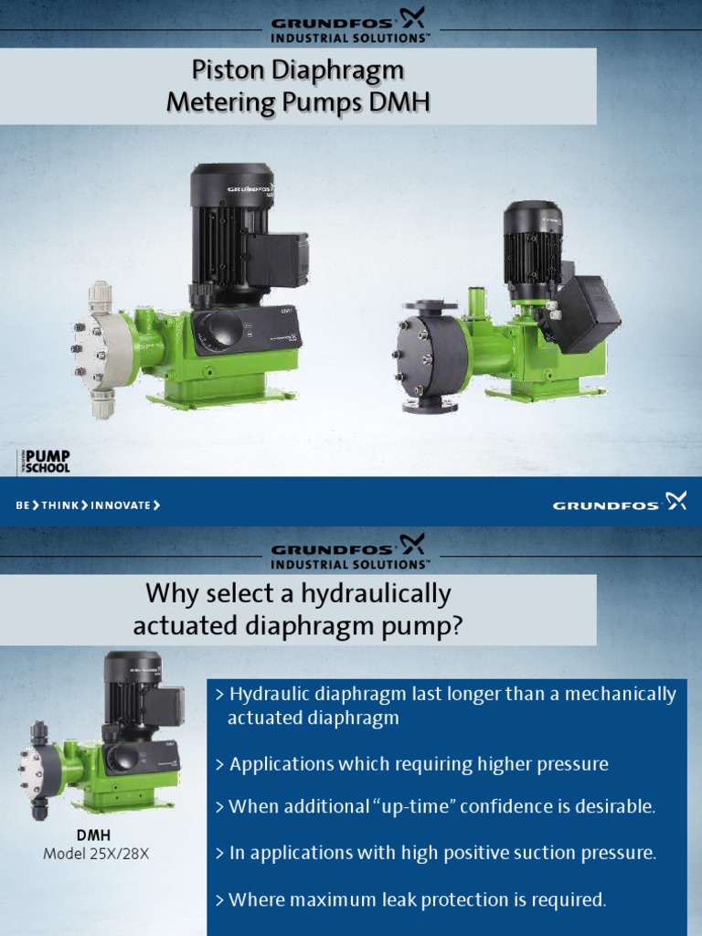 DMH Hydraulic Diaphragm Pump Overview | PDF | Pump | Valve