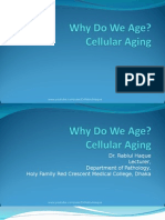 cellular aging 2