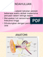 Slide Presbikusis