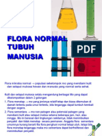 FLORA NORMAL