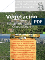 Vegetacion Del Bosque de Chapultepec