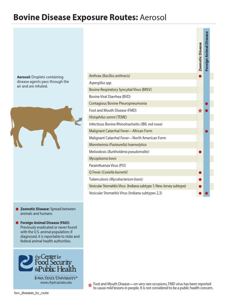 Disease Brm Bovine Anthrax Infection