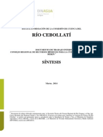 Informe CC Rio Cebollati Sintesis