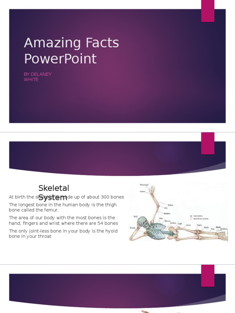 Amazing Facts Powerpoint | PDF