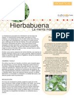 Aromaticas 06 Hierbabuena.pdf
