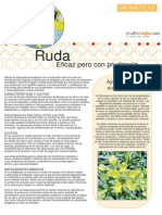 Plantas aromaticas - Ruda