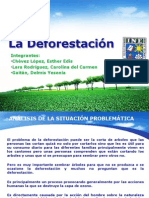 Presentacion La Deforestacion