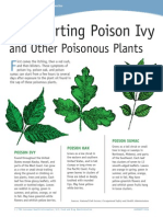 Outsmarting Poison Ivy and Other Poisonous Plants_0114