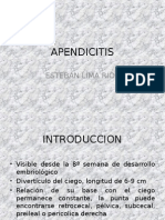 20110519_apendicitis (1)