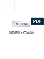 I6. Ontogenia Linfocitos B.pdf