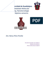 Gonzalez Medina Perez Avance1 PDF
