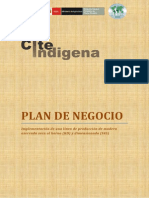 Technical Report - Plan de Negocios CITEINDIGENA PDF