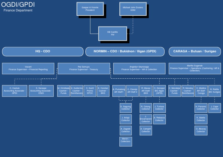 Finance Department Team Structure | PDF
