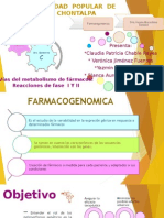 Vias de Metabolismo de Farmacos