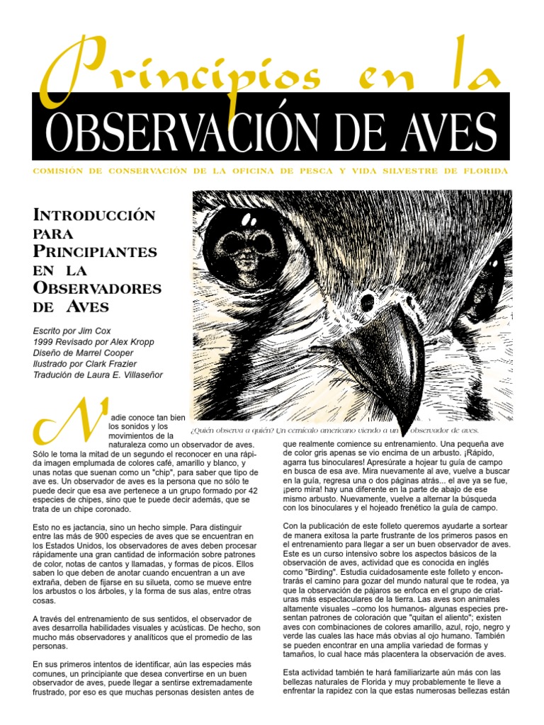 Principios En La Observacion De Aves Pdf Aves Percepción Visual