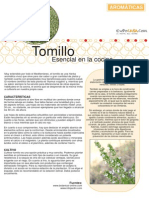 Plantas aromaticas - Tomillo