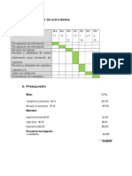 Cronograma de Actividades