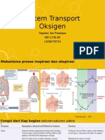 Sistem Transport Oksigen