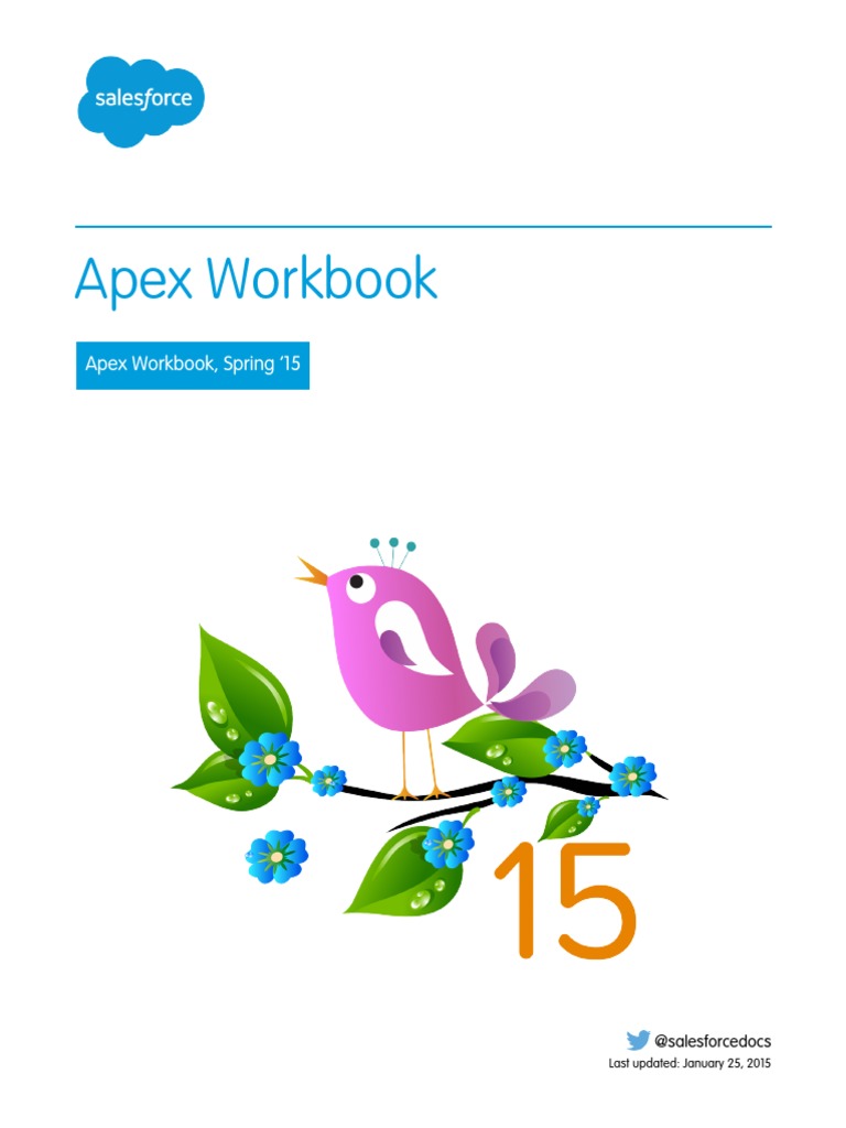 Apex Workbook | PDF