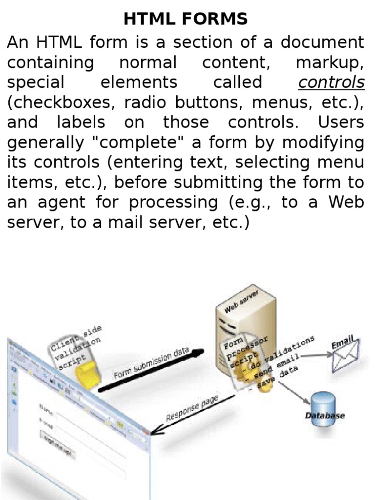 HTML Form Structure and Elements | PDF | Html Element | Html