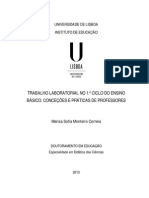 Trabalho Laboratorial No 1.º Ciclo Do Ensino Básico. Conceções e Práticas de Professores