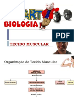 Tecido Muscular - STUART 2014 (1)