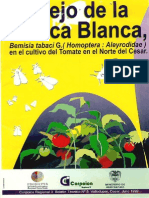 Manejo de La Mosca Blanca en Tomate