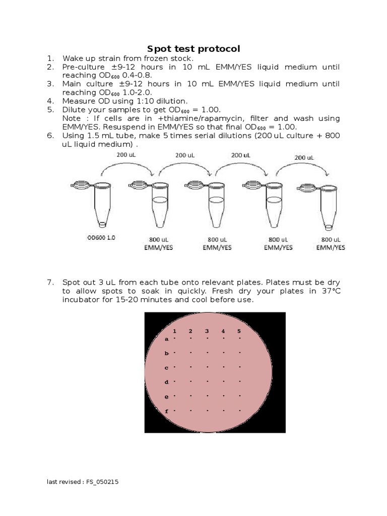 Spot Test Protocol | PDF | Cooking, Food & Wine | Wellness