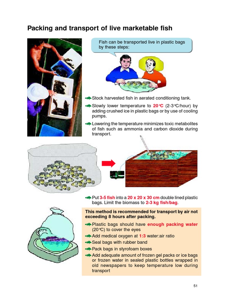 Live Fish Packing and Transport Guide | PDF