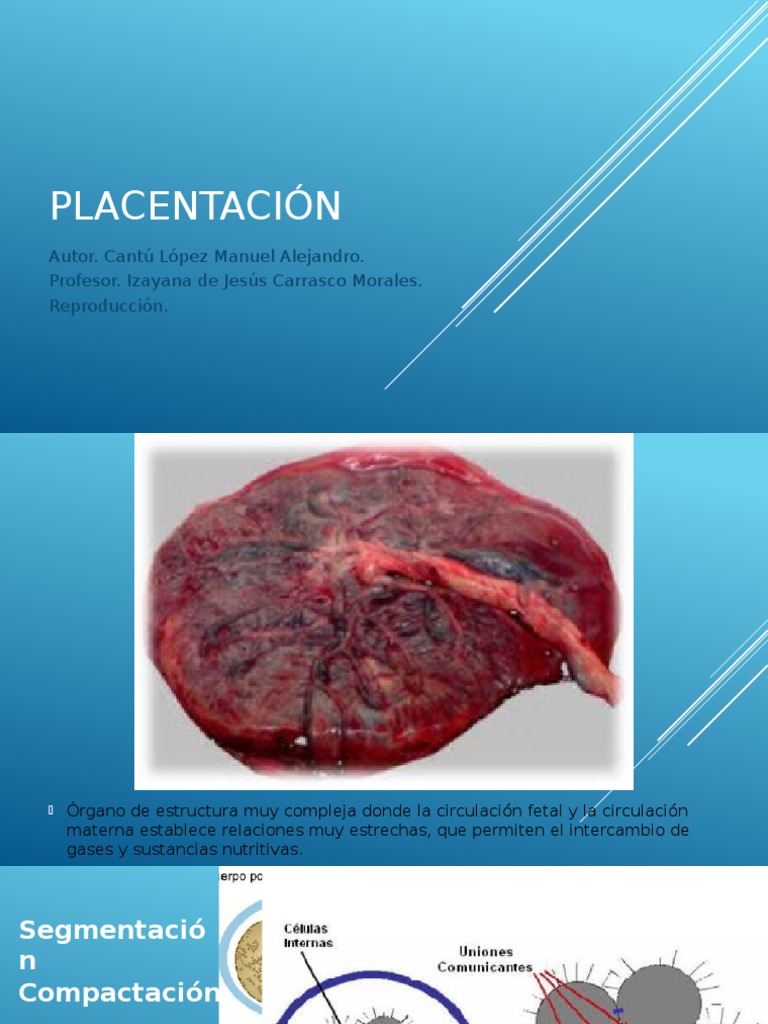 Placentación.pptx | Placenta | Reproducción