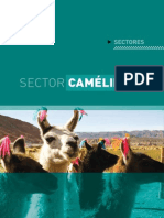 Sector Camelidos