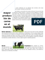 Las Razas Productoras de Carne Suelen Clasificarse Por Sus Aptitudes Más Corrientes Como Razas Británicas Tradicionales