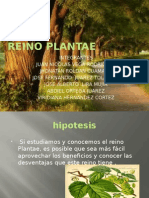 Reino Plantae