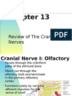  Cranial Nerve Review
