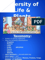 ap - diversity of life & plants
