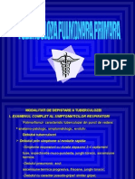 Curs 5 Tuberculoza