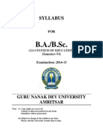 Ba BSC Semester Vi