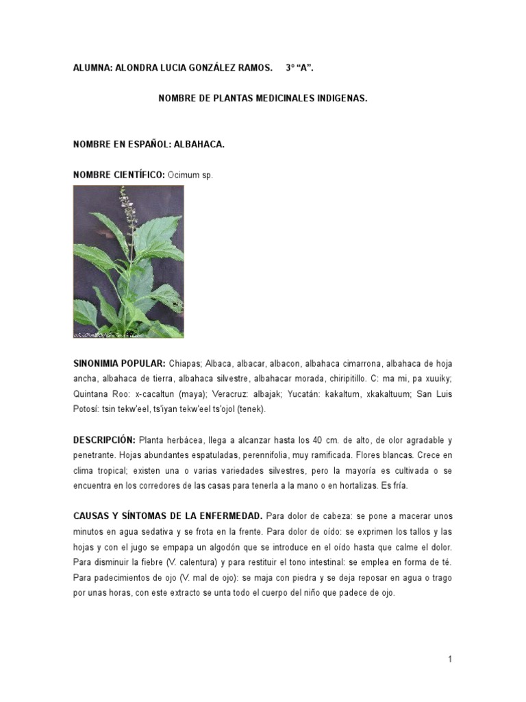 Nombre de Plantas Medicinales Indigenas | PDF | Romero | Té