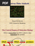 microarray-09.ppt