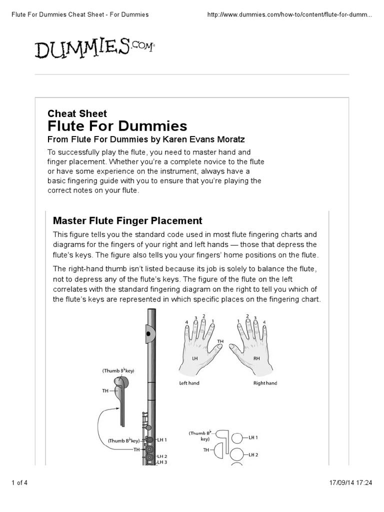 Flute For Dummies Cheat Sheet For Dummies PDF Flute Business
